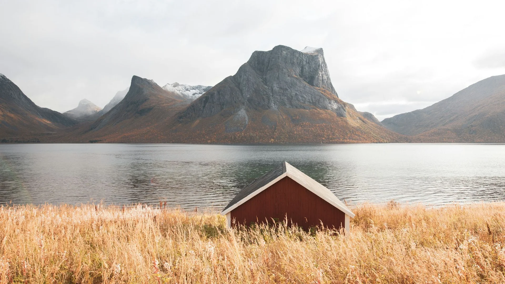 The $Science Behind Wellness$: Unlocking Balance Through Mindfulness, Sound, and Nature